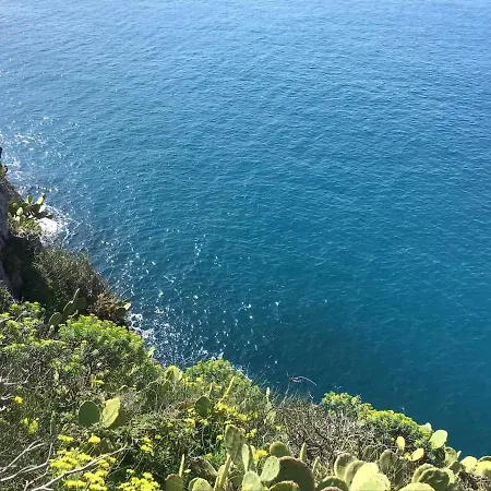 Dei Tramonti 泰拉西尼